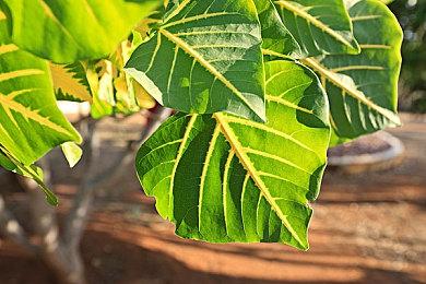 《死亡循环》发售预告 媒体一致好评游戏来袭