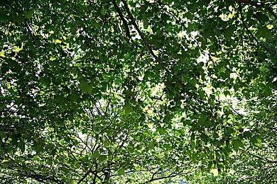 《出境幽灵:重生版》Steam页面开放 明年发售